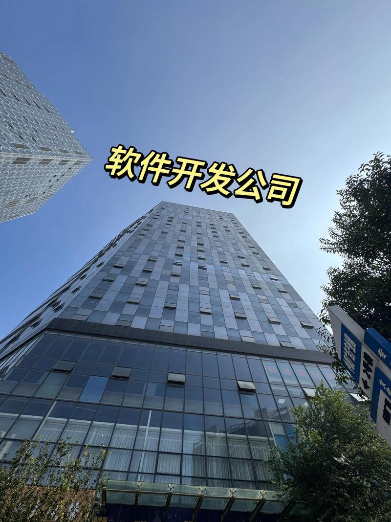 深圳软件开发：引领科技与梦想的碰撞